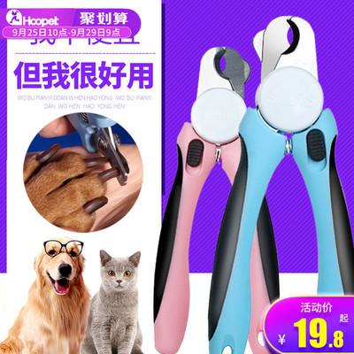 流浪猫收养指南 从收养到用品的全面注意事项