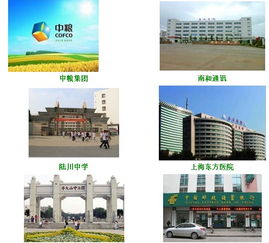 深圳数码冰机王饮水机 智能生活的清凉伙伴